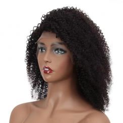 Brazilian Afro Curly Human Wigs Hair Lace